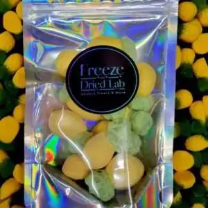 Freeze Dried Pineapples 50g