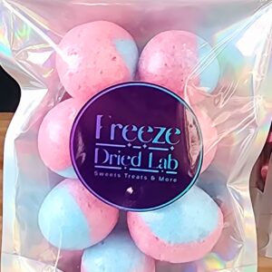 Freeze Dried Raspberry Lemonade